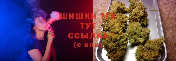 эйфоретик Аркадак