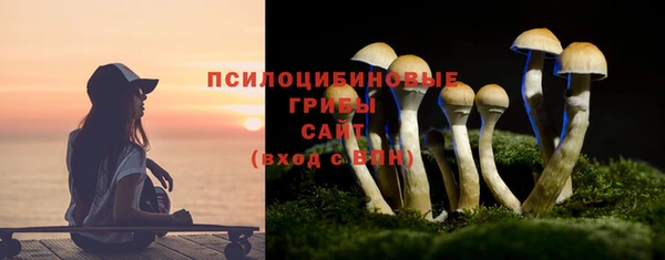 стафф Баксан