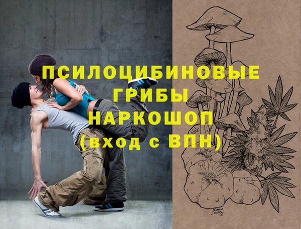 молекула духа Семикаракорск