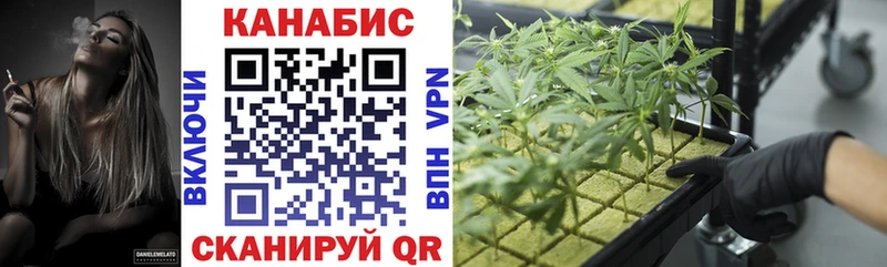 где продают наркотики  Гвардейск  Шишки марихуана Amnesia 